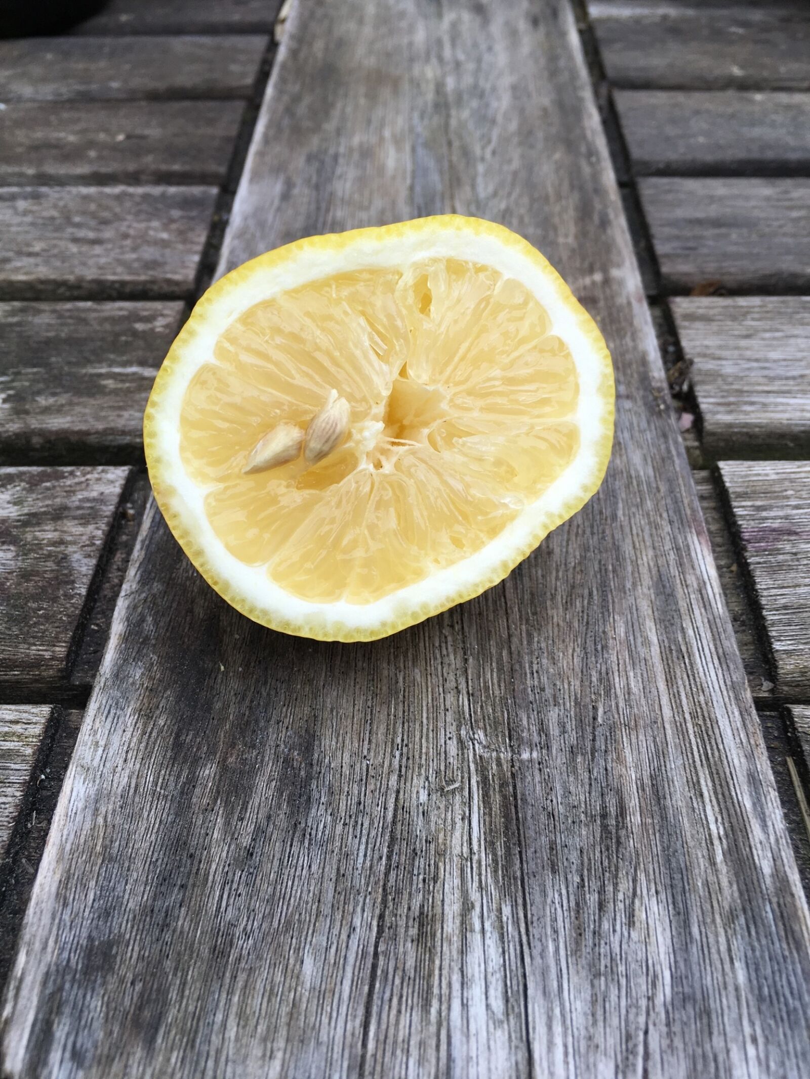 Apple iPhone 6s Plus sample photo. Lemon, yellow, sour photography