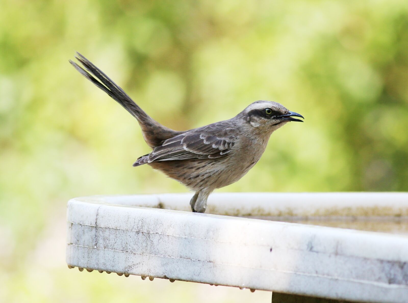 Canon EOS 5D Mark III sample photo. I knew the field photography
