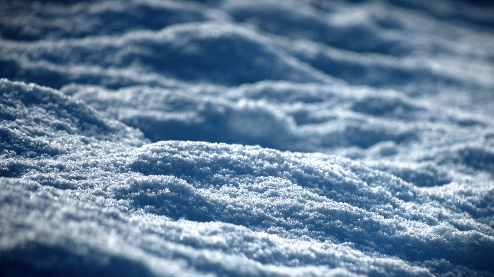 Canon PowerShot SX530 HS sample photo. Snow, background, winter photography