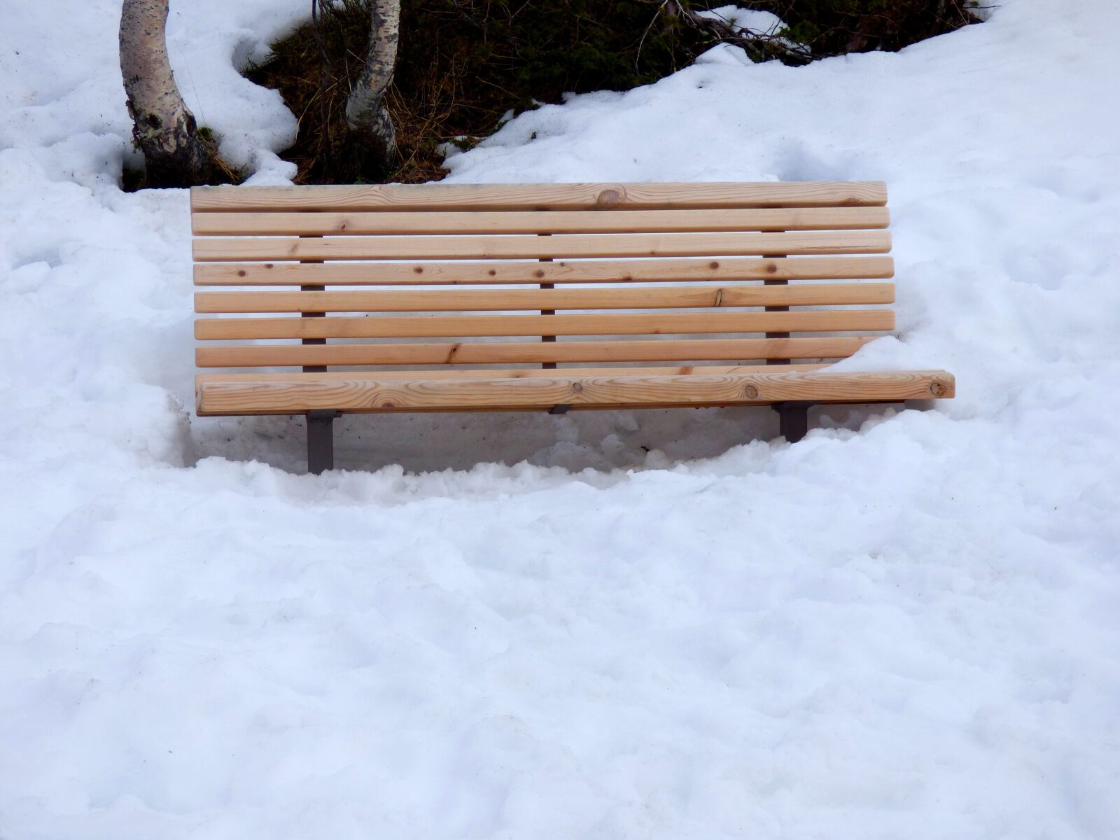 Panasonic DMC-FZ72 sample photo. Bench, snow, park photography