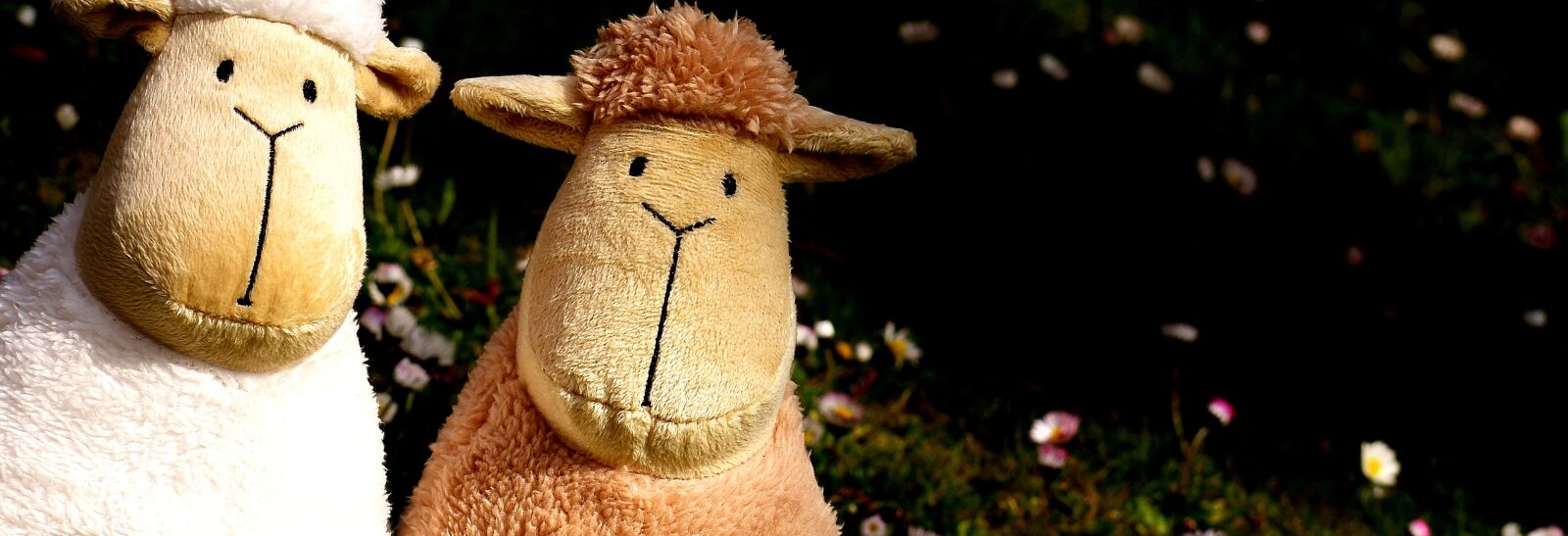 Nikon D7200 sample photo. Sheep, love, heart photography