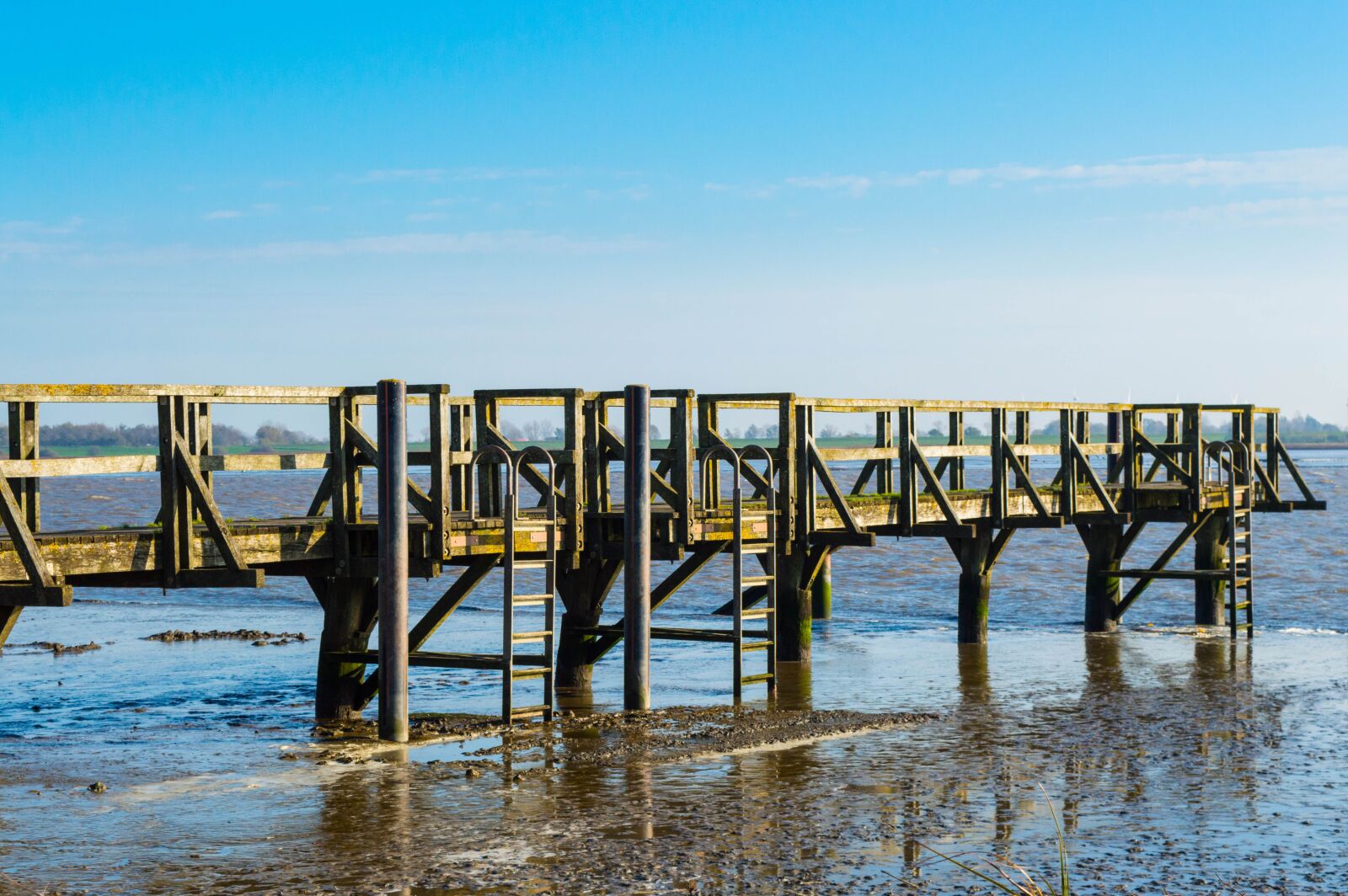 Nikon D3200 sample photo. Web, eider, ebb photography