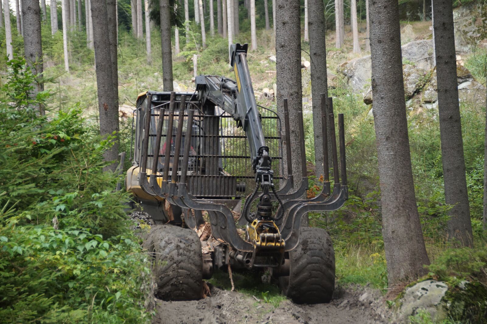 Sony SLT-A58 sample photo. Forest machine, logging, bark photography