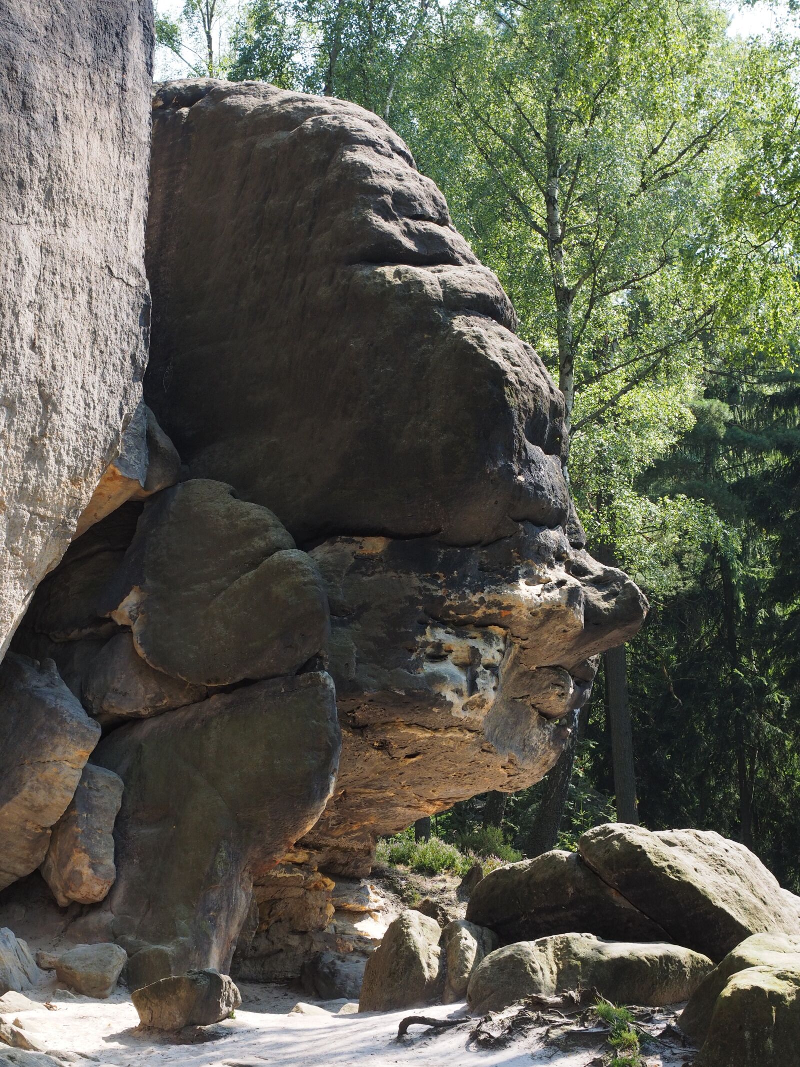 Olympus OM-D E-M1 + Olympus M.Zuiko Digital ED 12-40mm F2.8 Pro sample photo. Rock, rock face, face photography