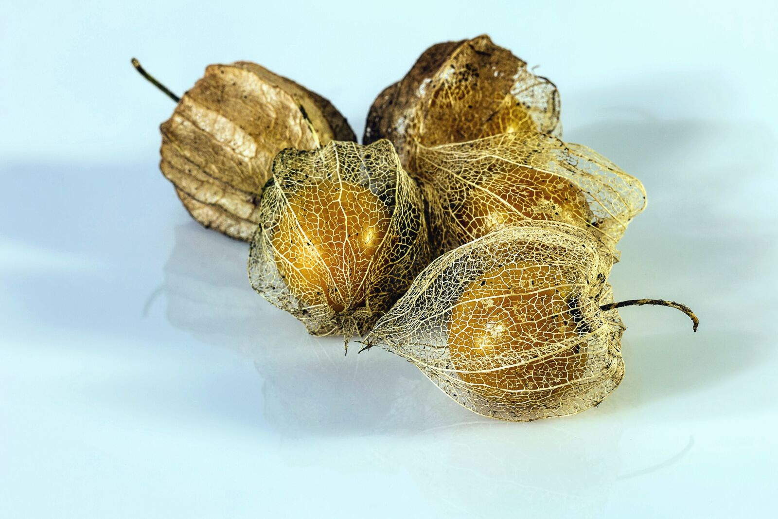 Canon EOS 70D sample photo. Grain, plant, seed, kernel photography