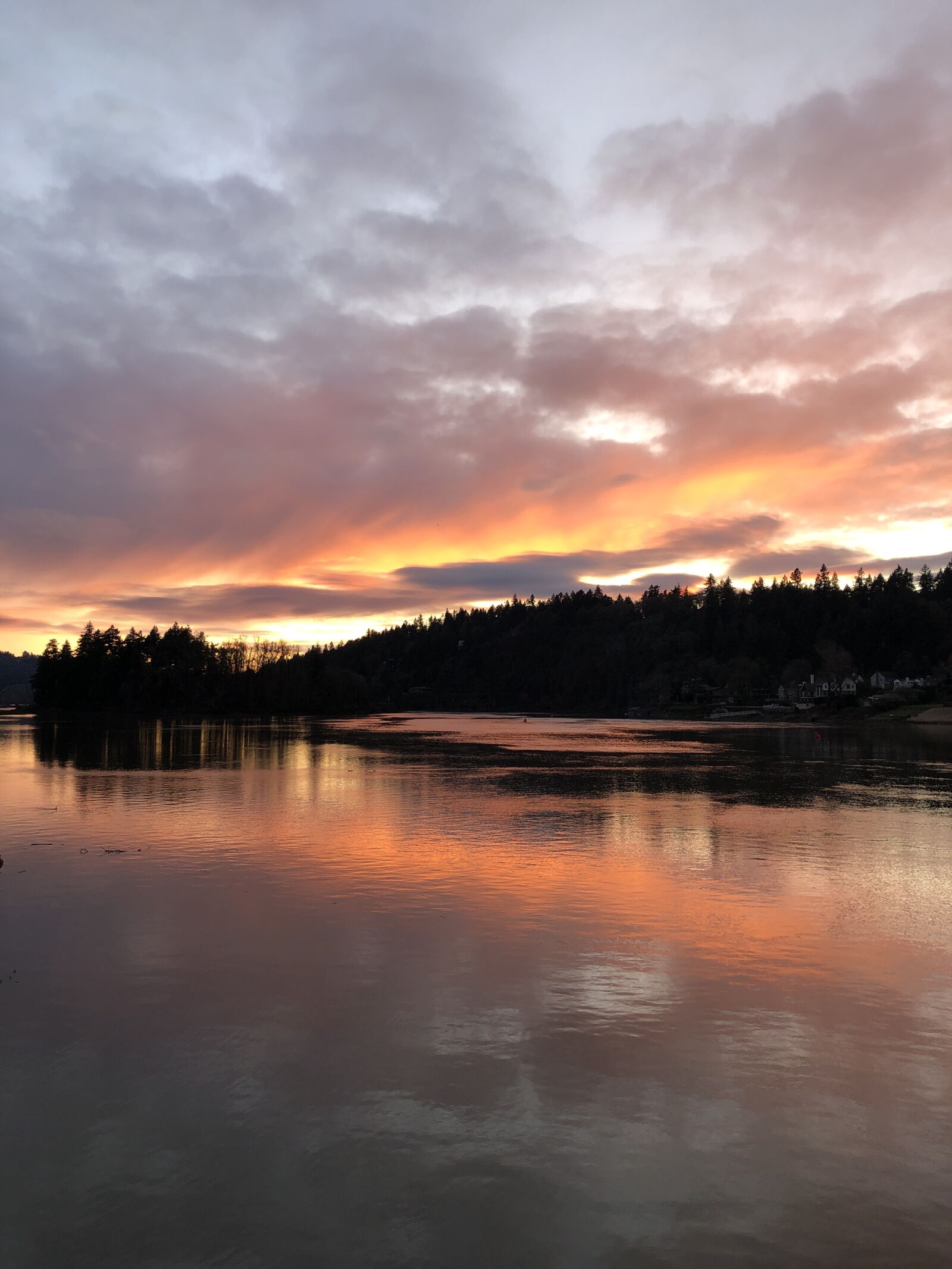 iPhone 8 back camera 3.99mm f/1.8 sample photo. River, sunset, nature photography