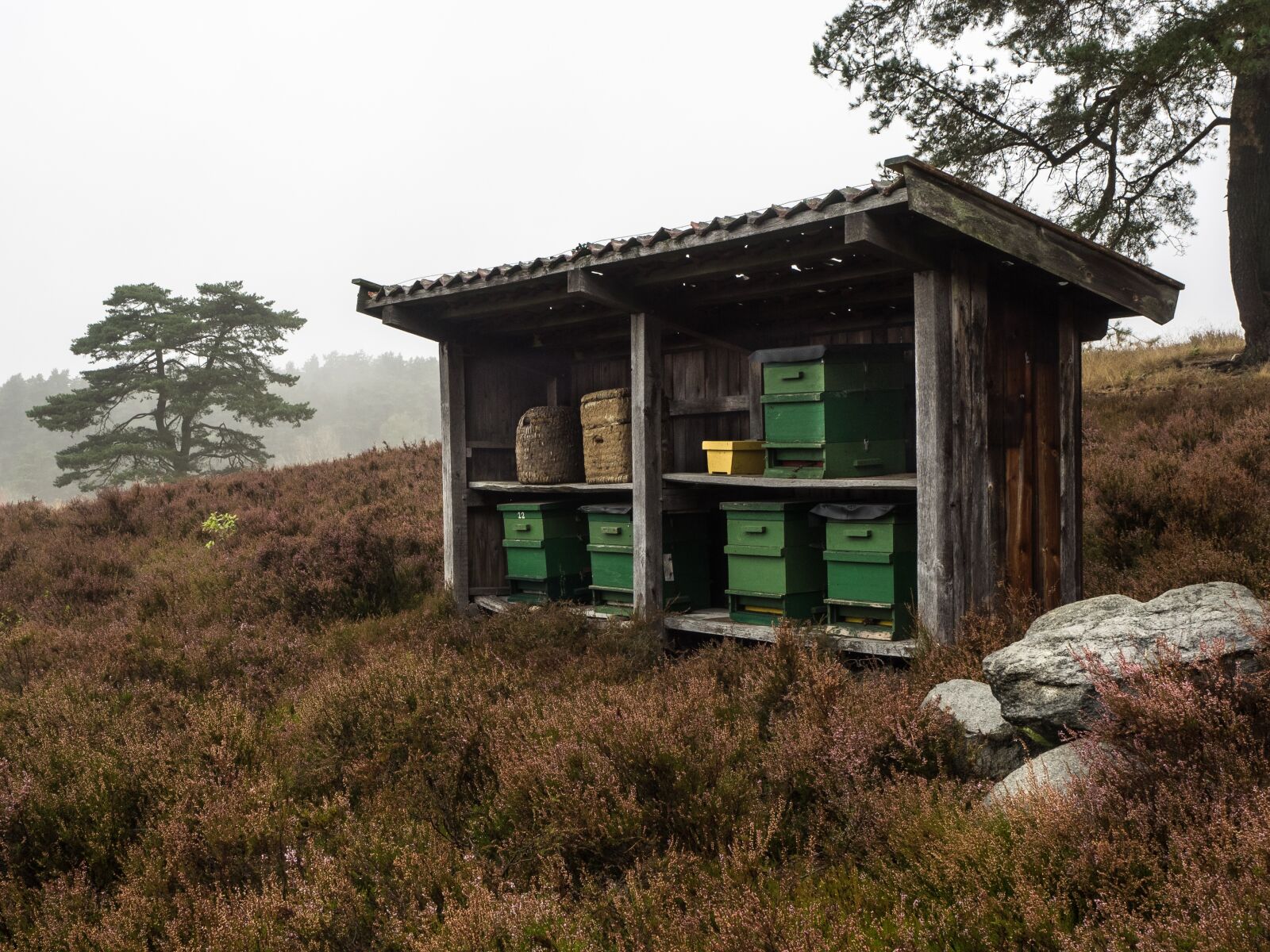 Olympus OM-D E-M1 + Olympus M.Zuiko Digital ED 12-40mm F2.8 Pro sample photo. Beehive, heathland, nature reserve photography