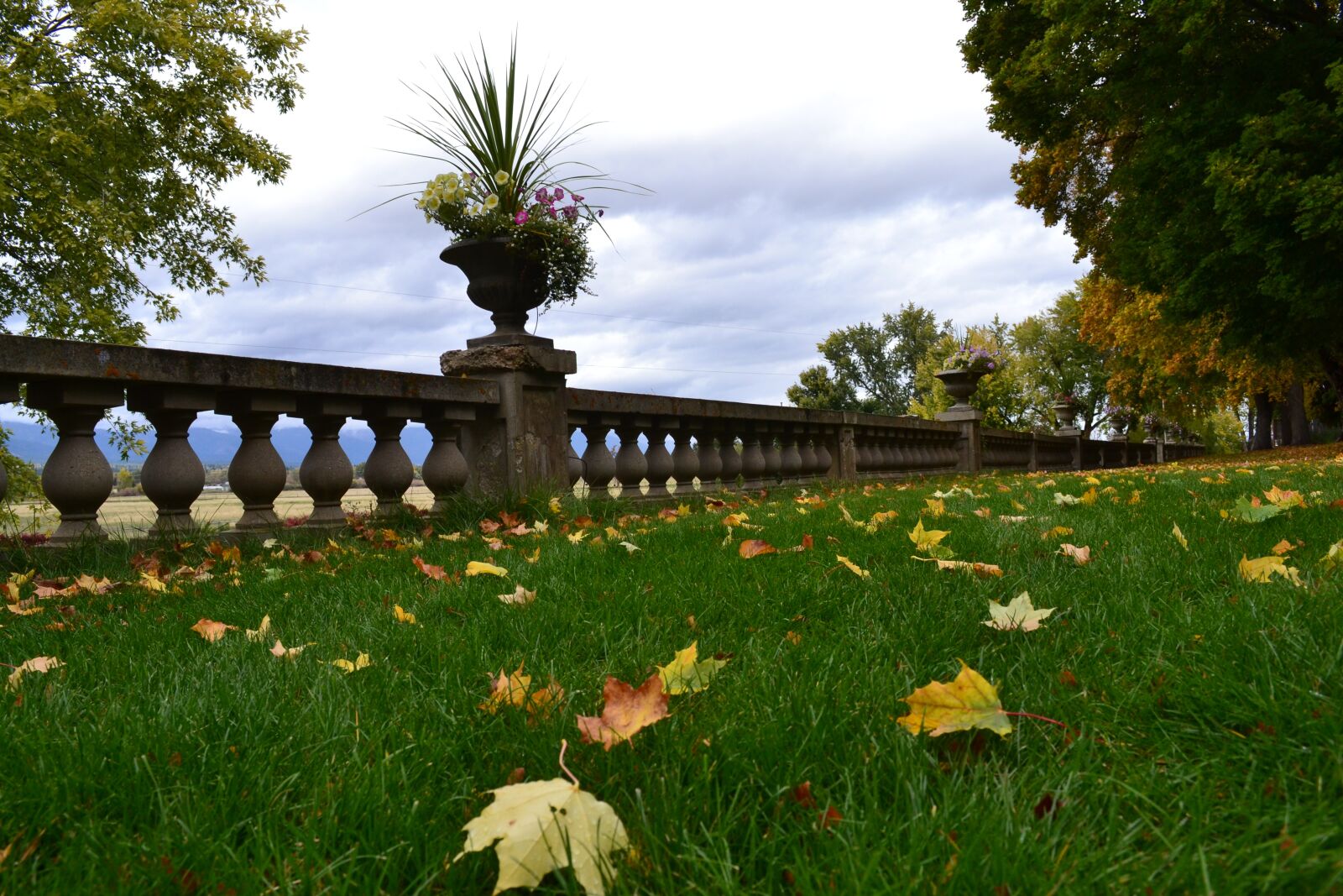 Nikon D3100 sample photo. Marcus daly, mansion, montana photography