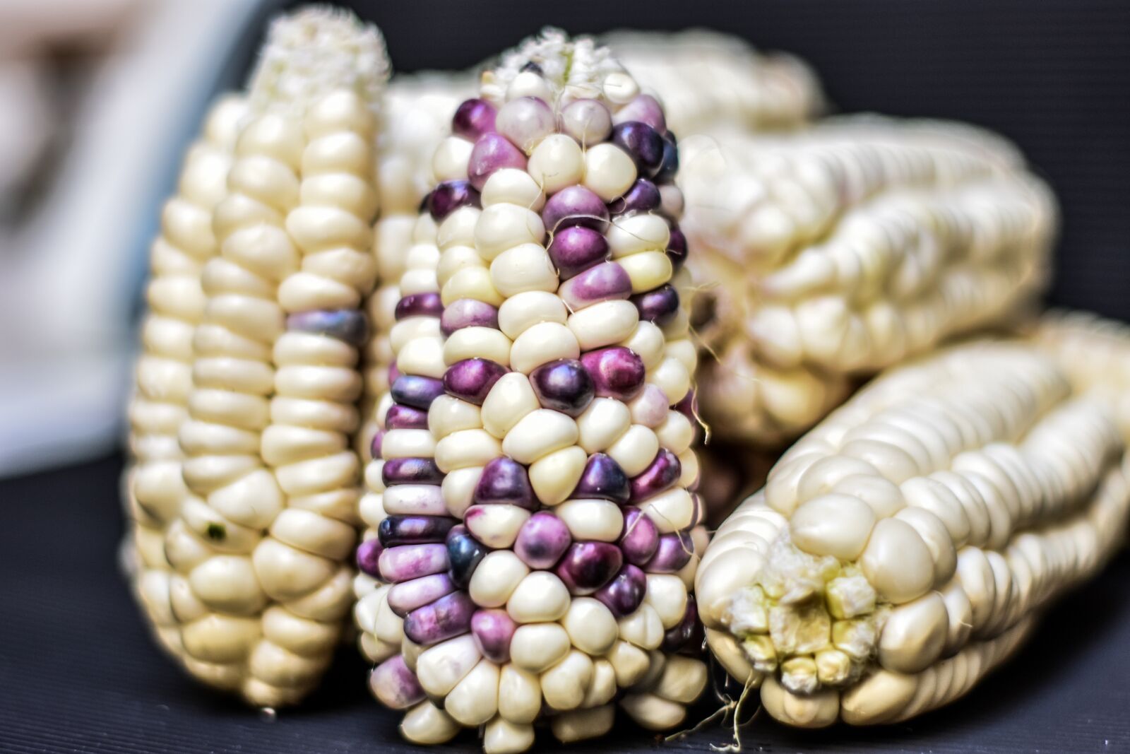 Nikon D3400 sample photo. Corn, cob, agriculture photography