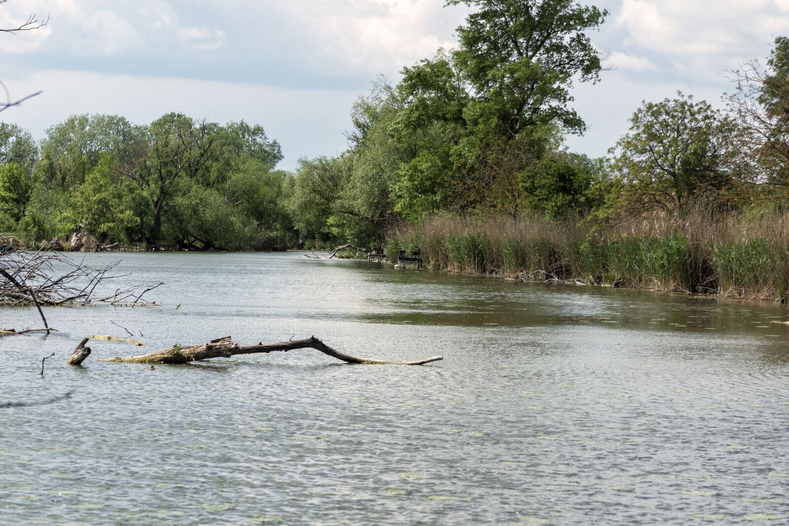 Canon EF75-300mm f/4-5.6 sample photo. Landscape, river, wood photography