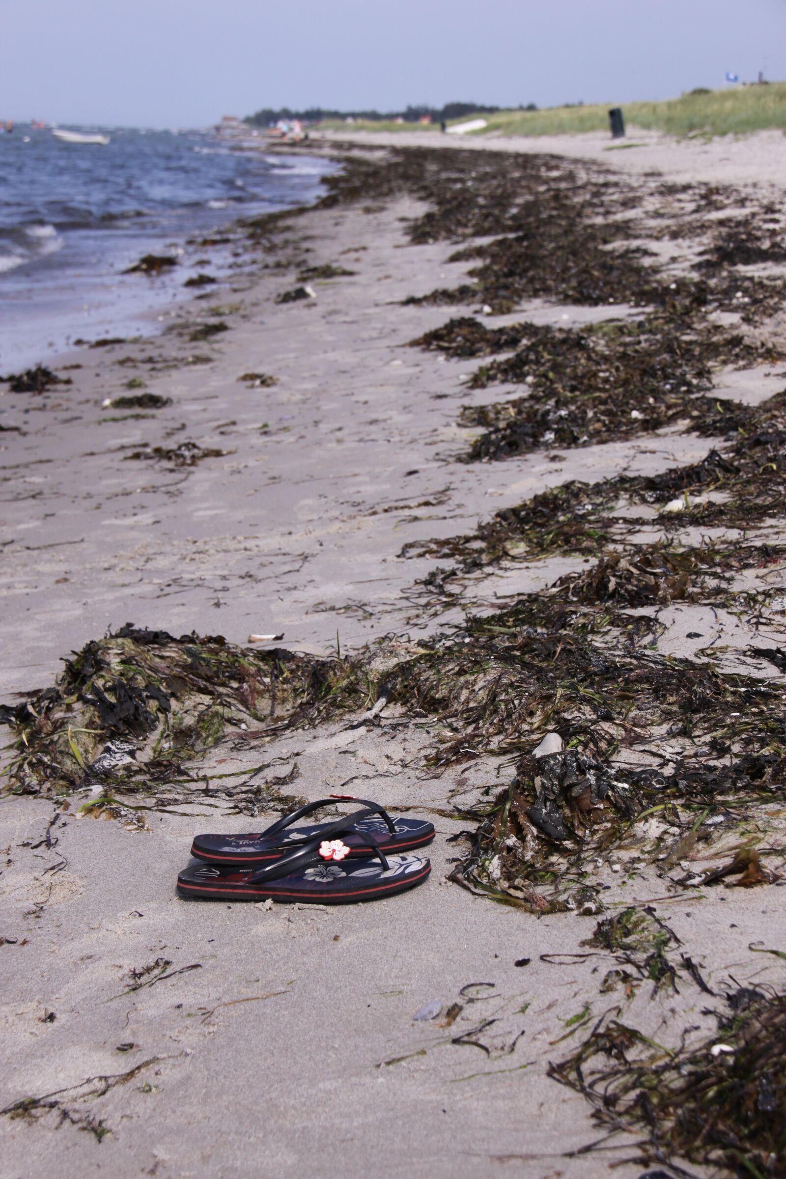 Canon EOS 50D sample photo. Fjellerup, beach, sea photography