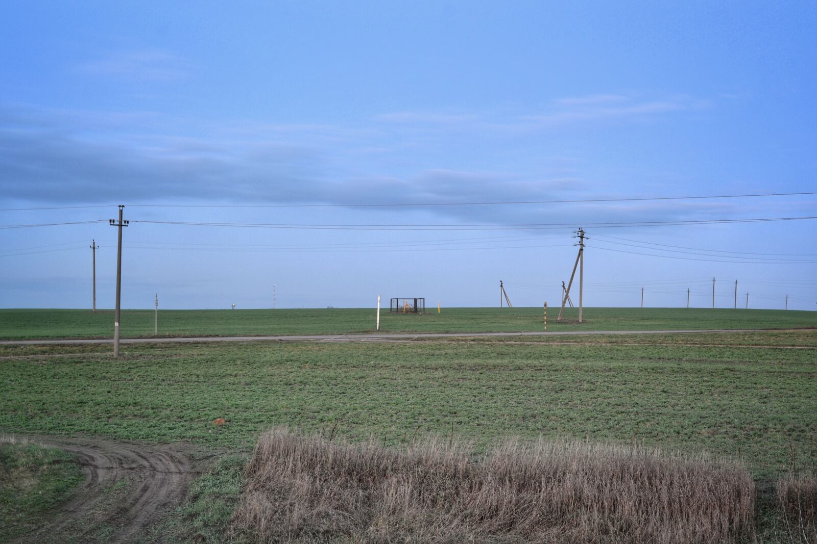 Nikon D3100 sample photo. Nature, belarus, russia photography