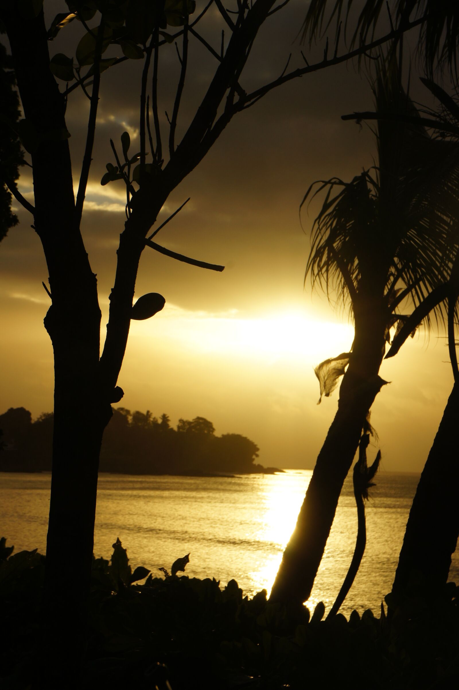 Sony Alpha NEX-5 sample photo. Sunset, beach, seychelles photography