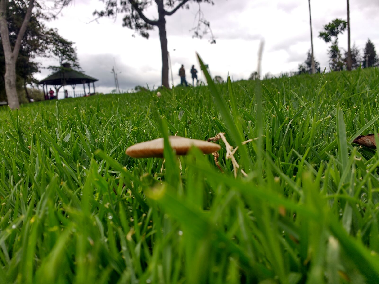 Motorola MotoG3 sample photo
