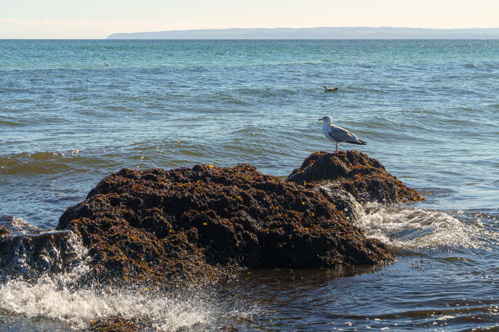 Sony a6000 + Sony E 18-55mm F3.5-5.6 OSS sample photo. Waters, sea, ocean photography