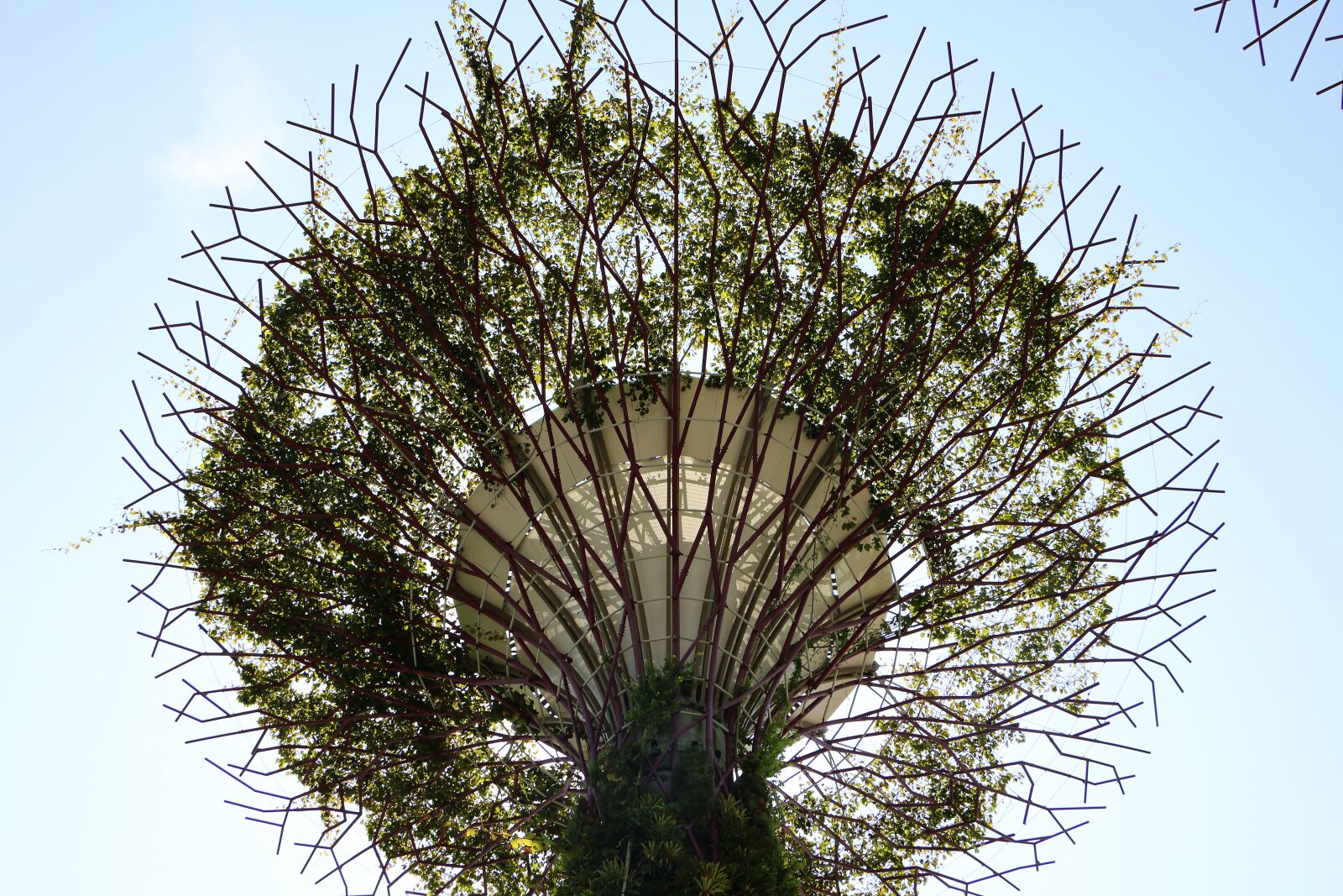 Canon EOS 70D sample photo. Architectural, garden, trees photography