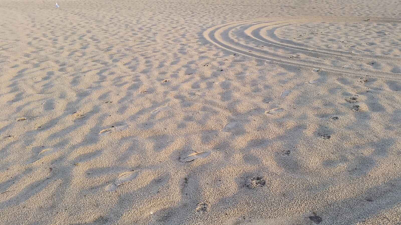 Samsung Galaxy S5 sample photo. Beach, sand, outdoors photography