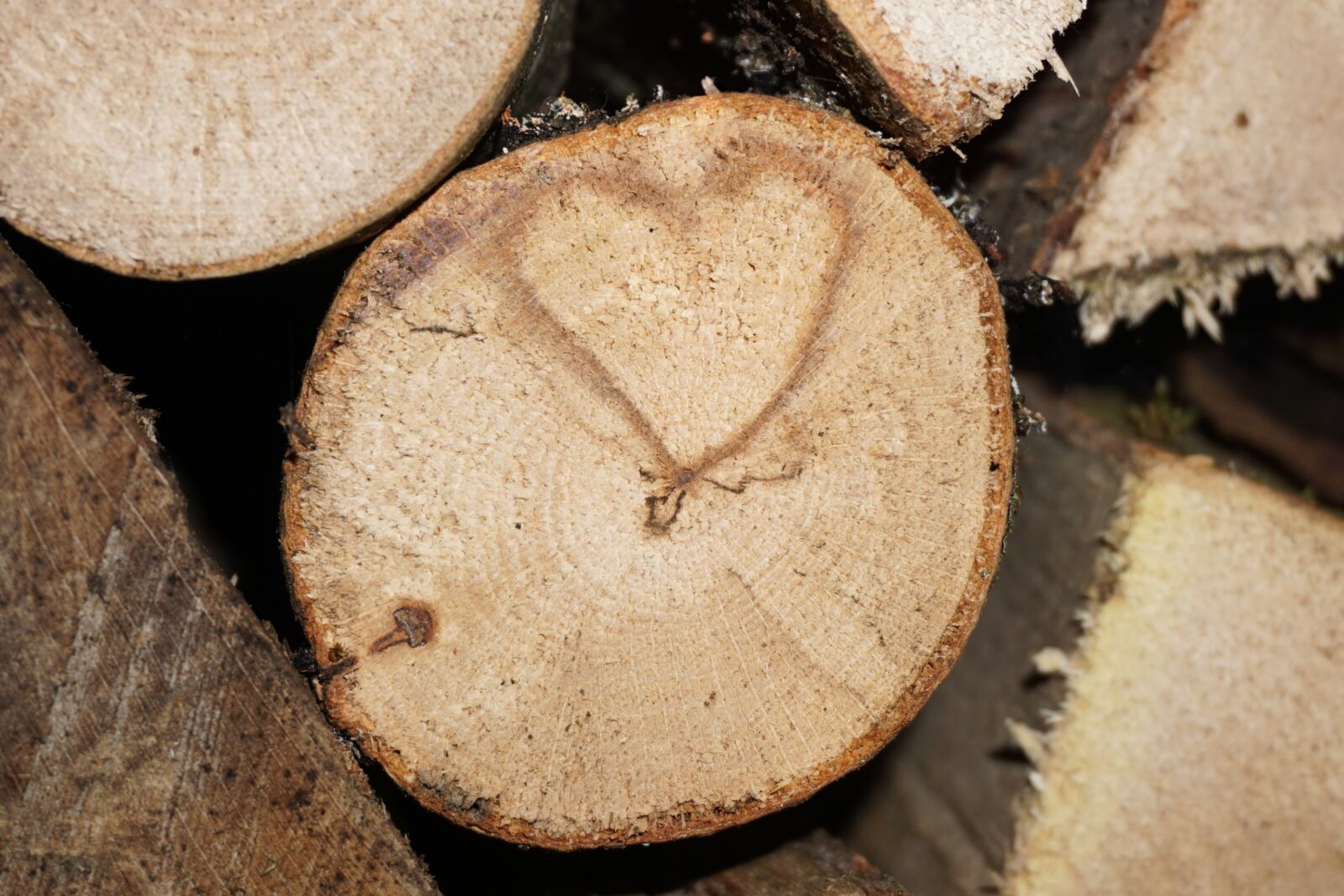 Sony E 16-50mm F3.5-5.6 PZ OSS sample photo. Heart, love, wood photography
