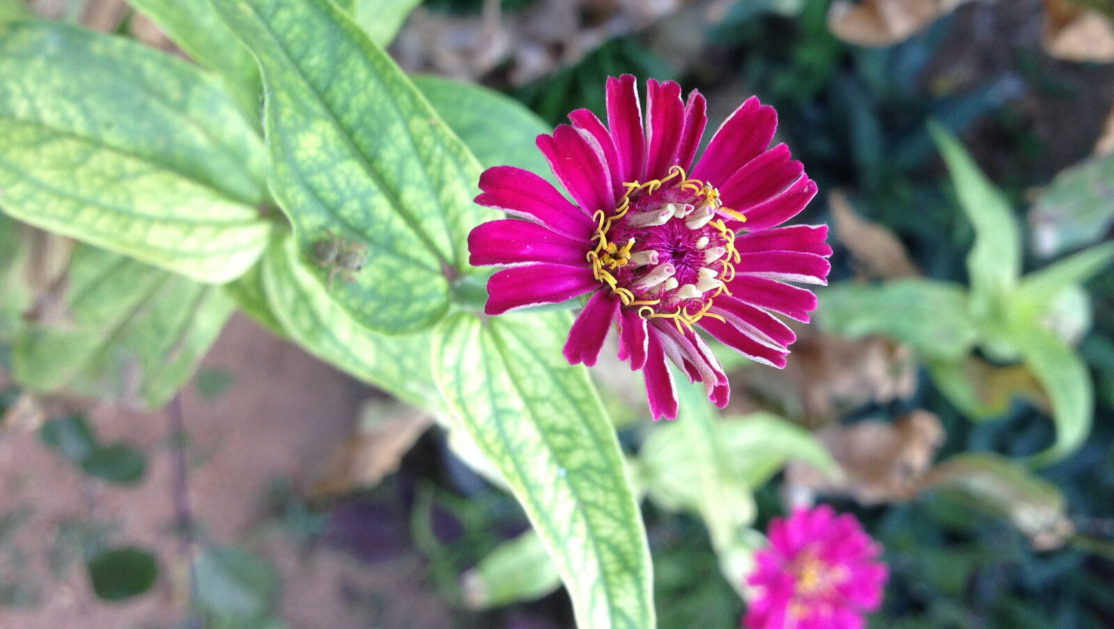 Apple iPhone 4S sample photo