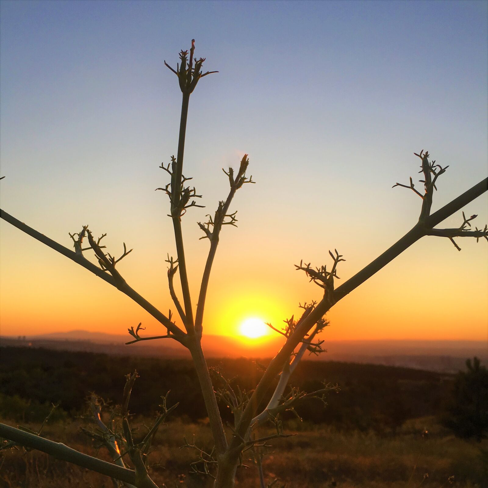 Apple iPhone 6s sample photo. Sunset, in the evening photography