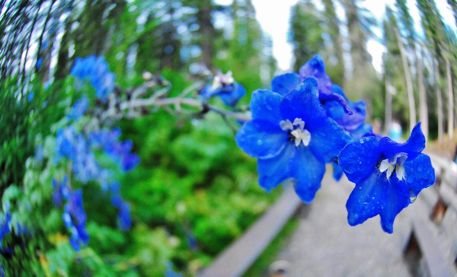 Nikon D80 sample photo