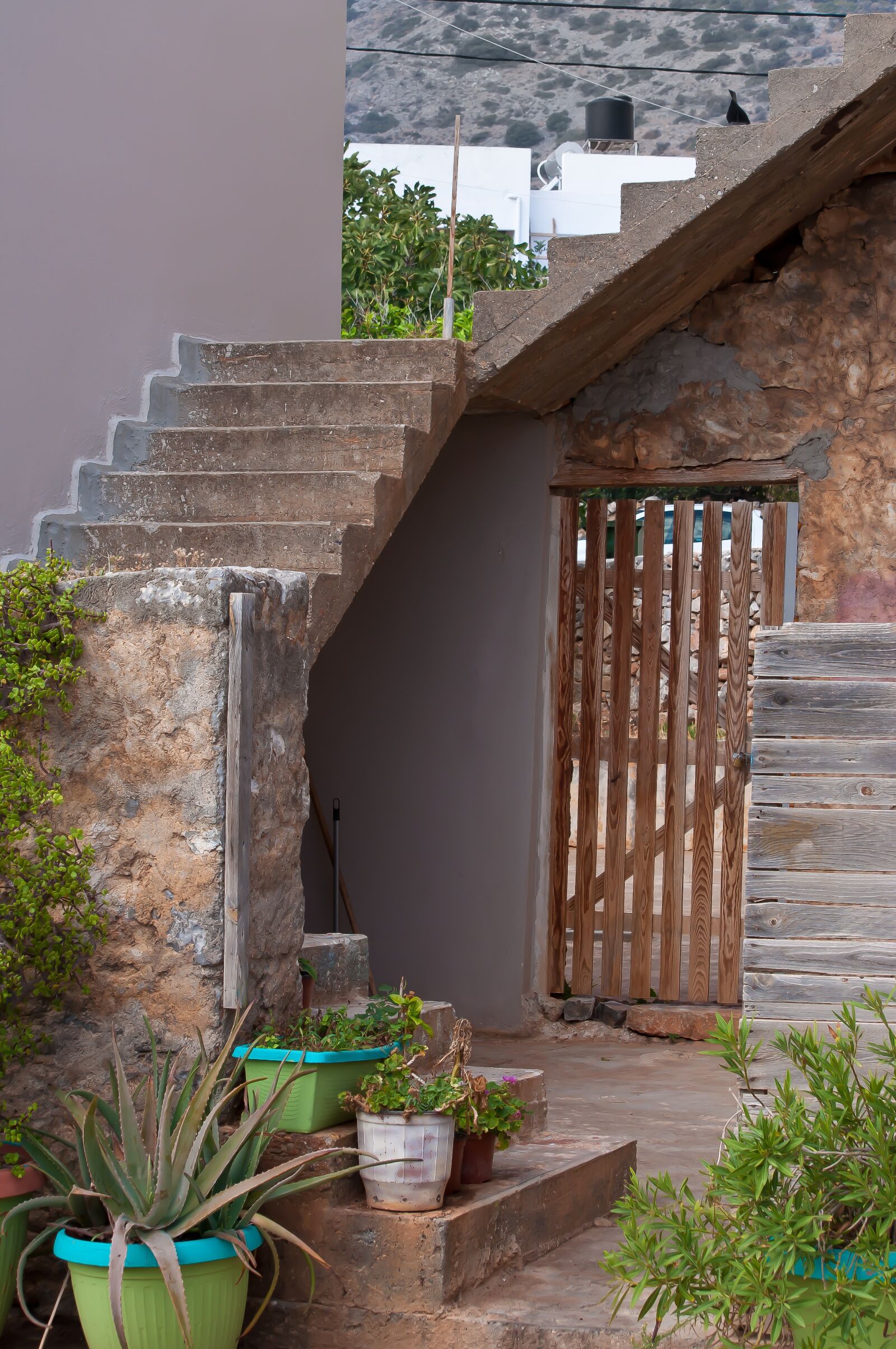 Nikon D90 sample photo. Greece, crete, input photography