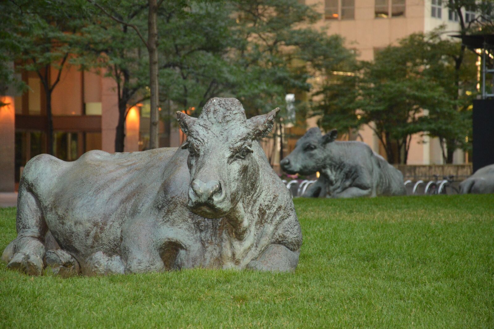 Nikon D3200 sample photo. Bull photography