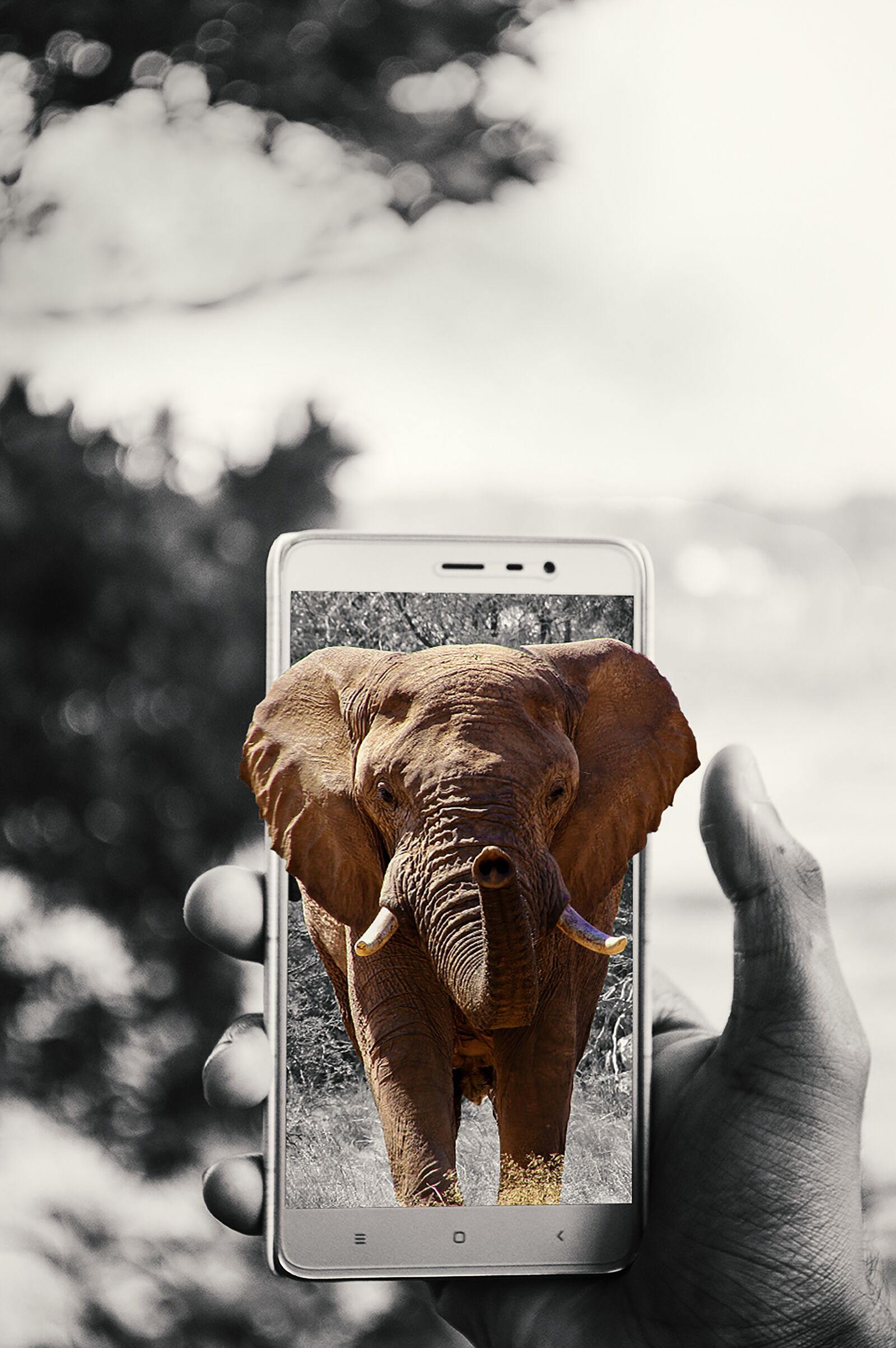 Nikon D3200 sample photo. Elephant, wild, africa photography