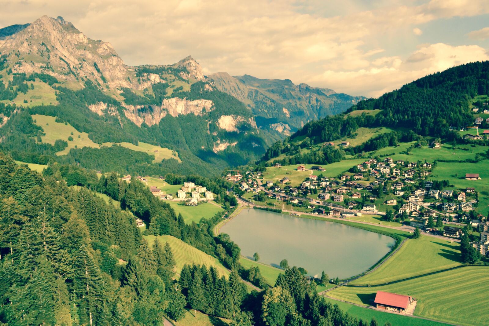 Nikon D3100 sample photo. Birds, eye, meadows, mountains photography