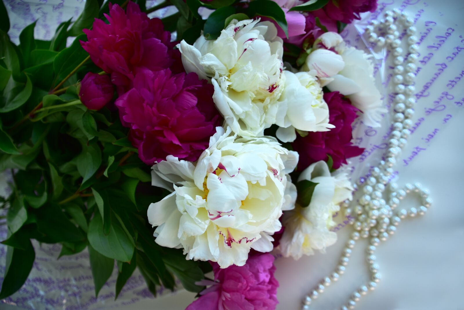 Nikon D3400 sample photo. Peonies, flowers, gift photography
