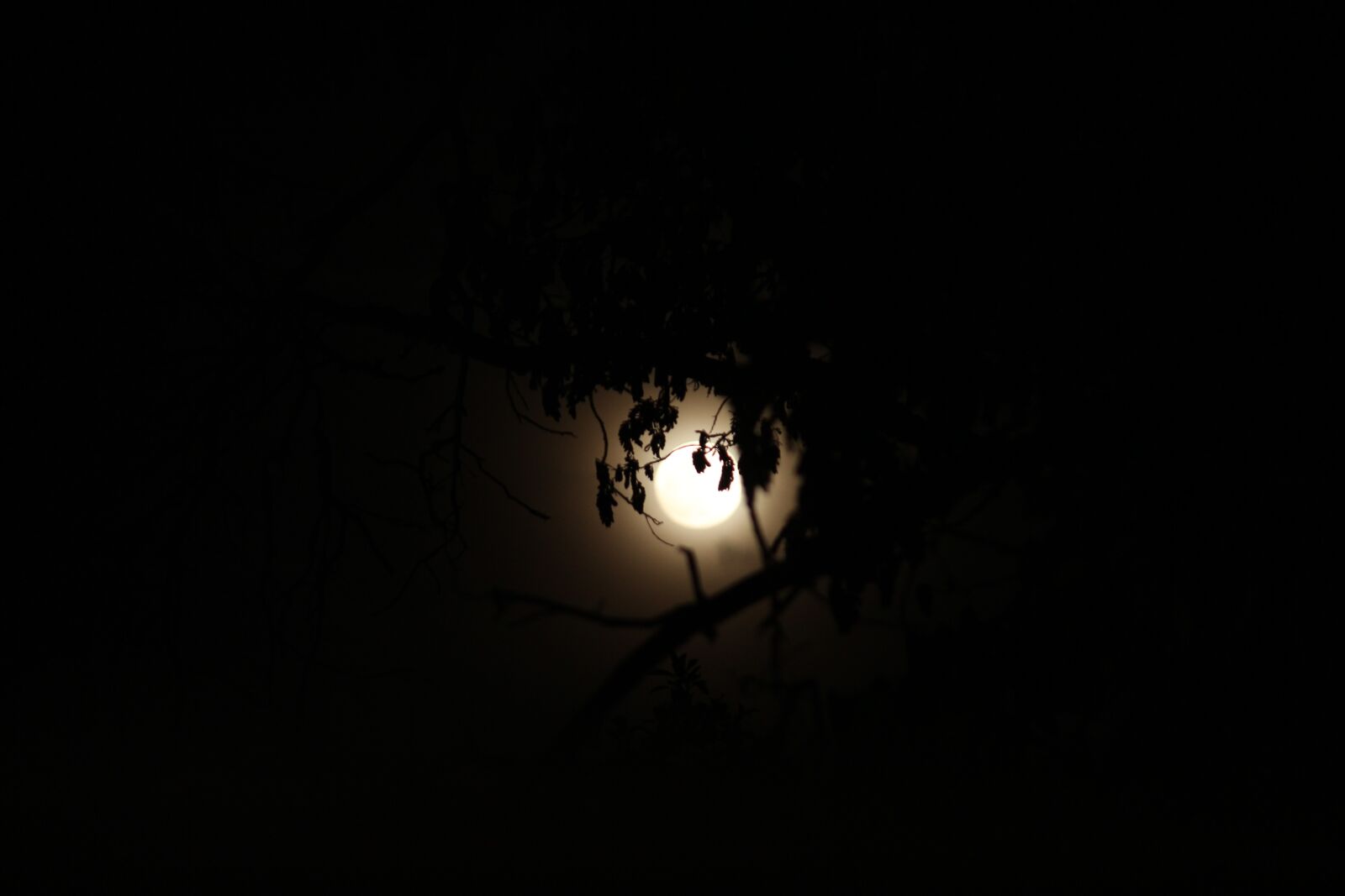 Canon EOS 700D (EOS Rebel T5i / EOS Kiss X7i) sample photo. Sky, moon, nature photography