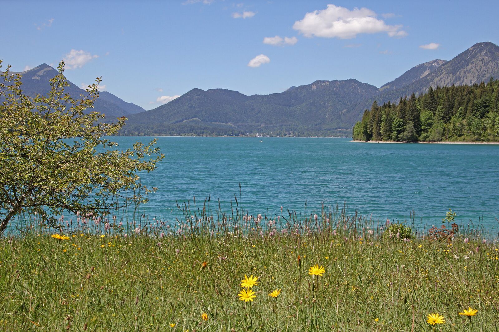 Canon EOS 60D sample photo. Walchensee, bergsee, lake photography