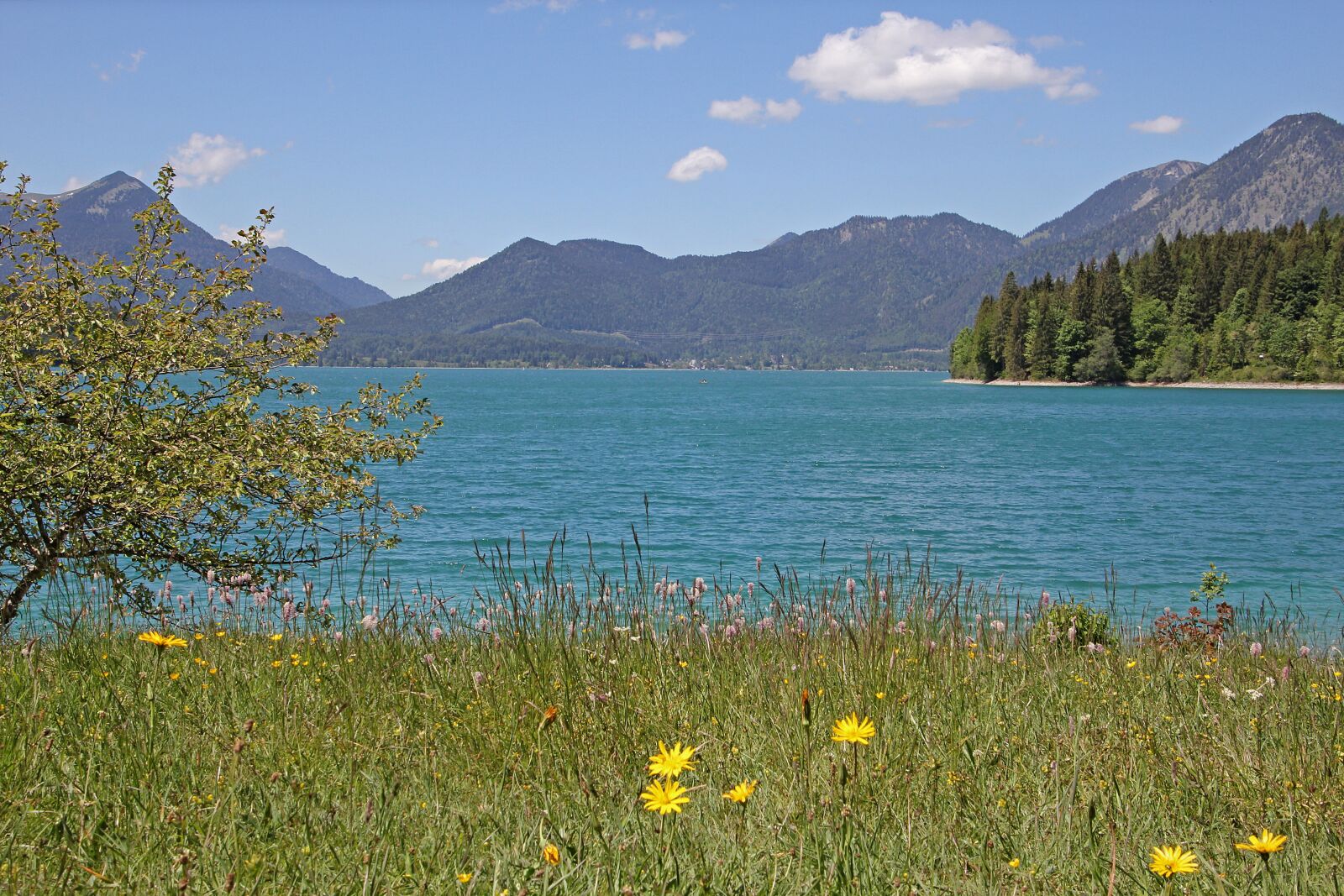 Canon EOS 60D + Tamron 16-300mm F3.5-6.3 Di II VC PZD Macro sample photo. Walchensee, bergsee, lake photography