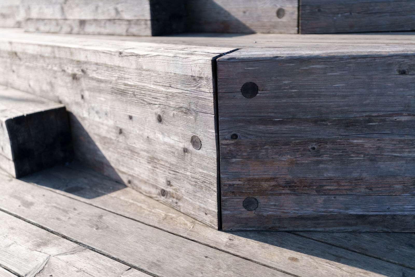 Sigma 28-45mm F1.8 DG DN Art sample photo. Shadow wood photography