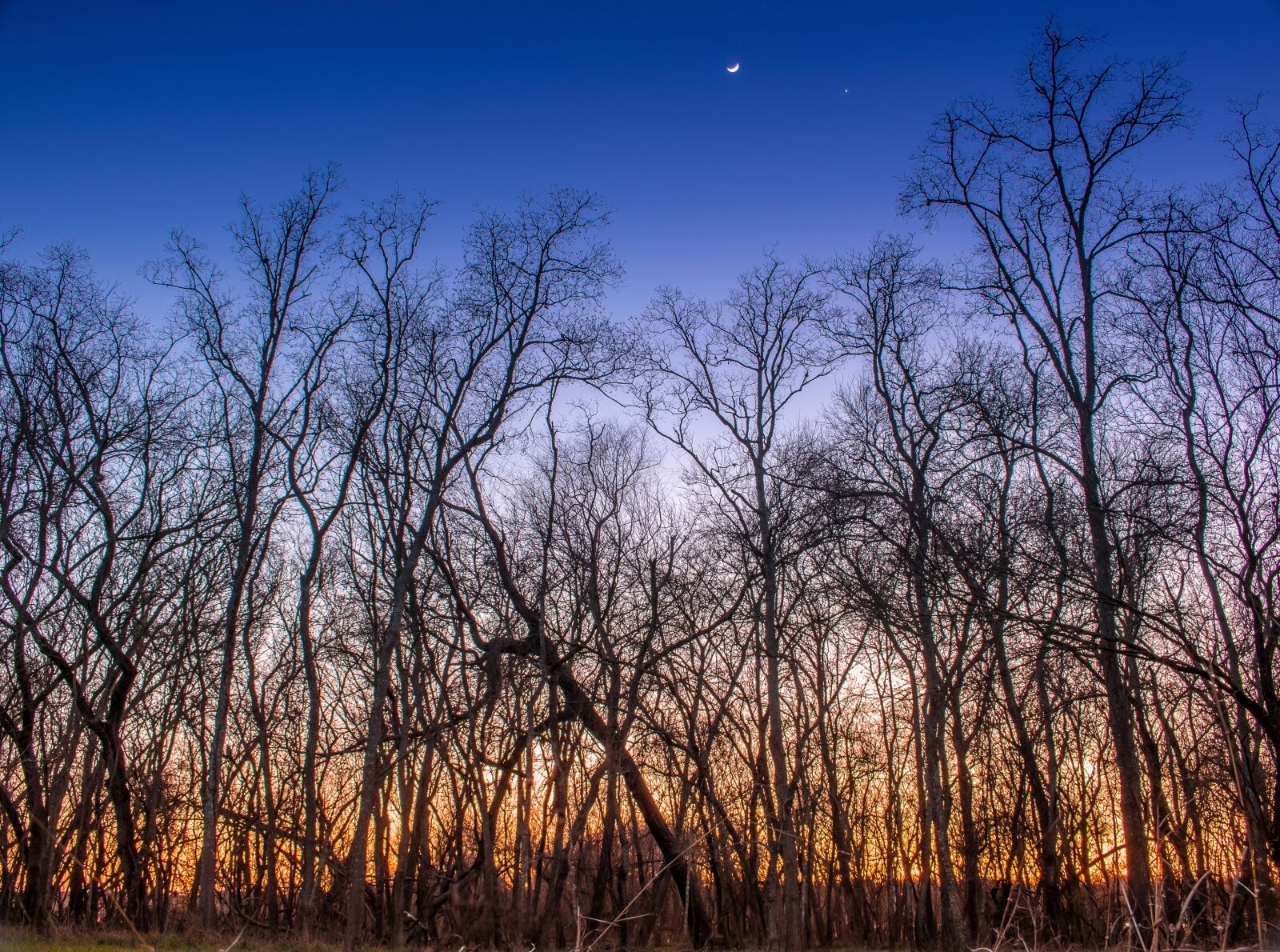 Canon EOS 750D (EOS Rebel T6i / EOS Kiss X8i) sample photo. Dawn, sunset, woods photography