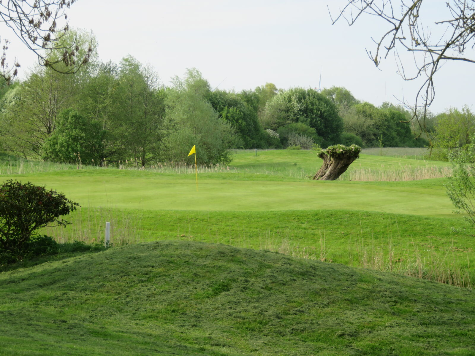 Canon PowerShot SX710 HS sample photo. Golf, green, greens photography