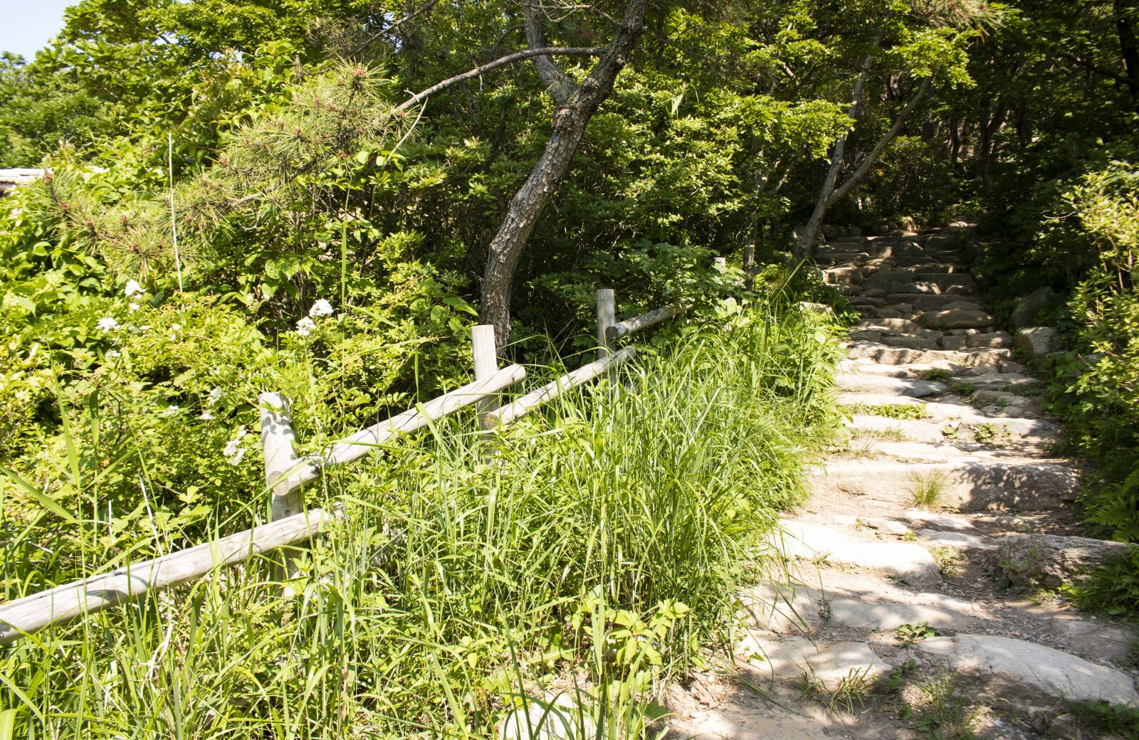 Canon EOS 750D (EOS Rebel T6i / EOS Kiss X8i) sample photo. Korea, busan, mountain photography