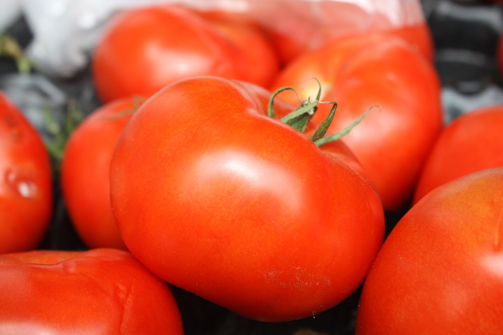 Canon EOS 450D (EOS Rebel XSi / EOS Kiss X2) sample photo. Tomatoes, vegetables, datailaufnahme photography