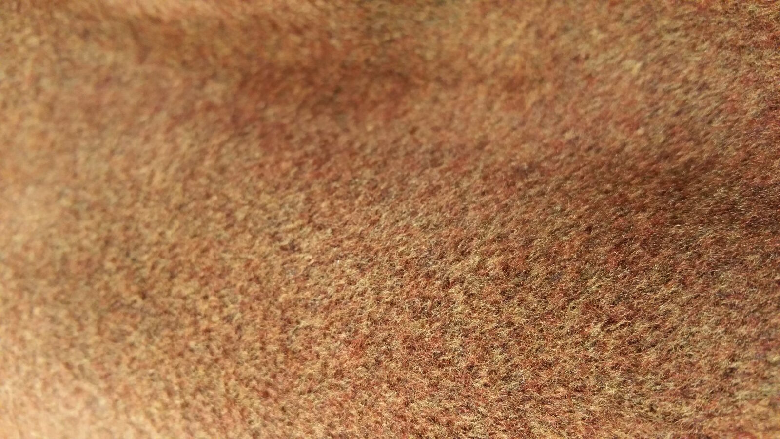 Samsung Galaxy Note4 sample photo. Full, frame, shot, of photography
