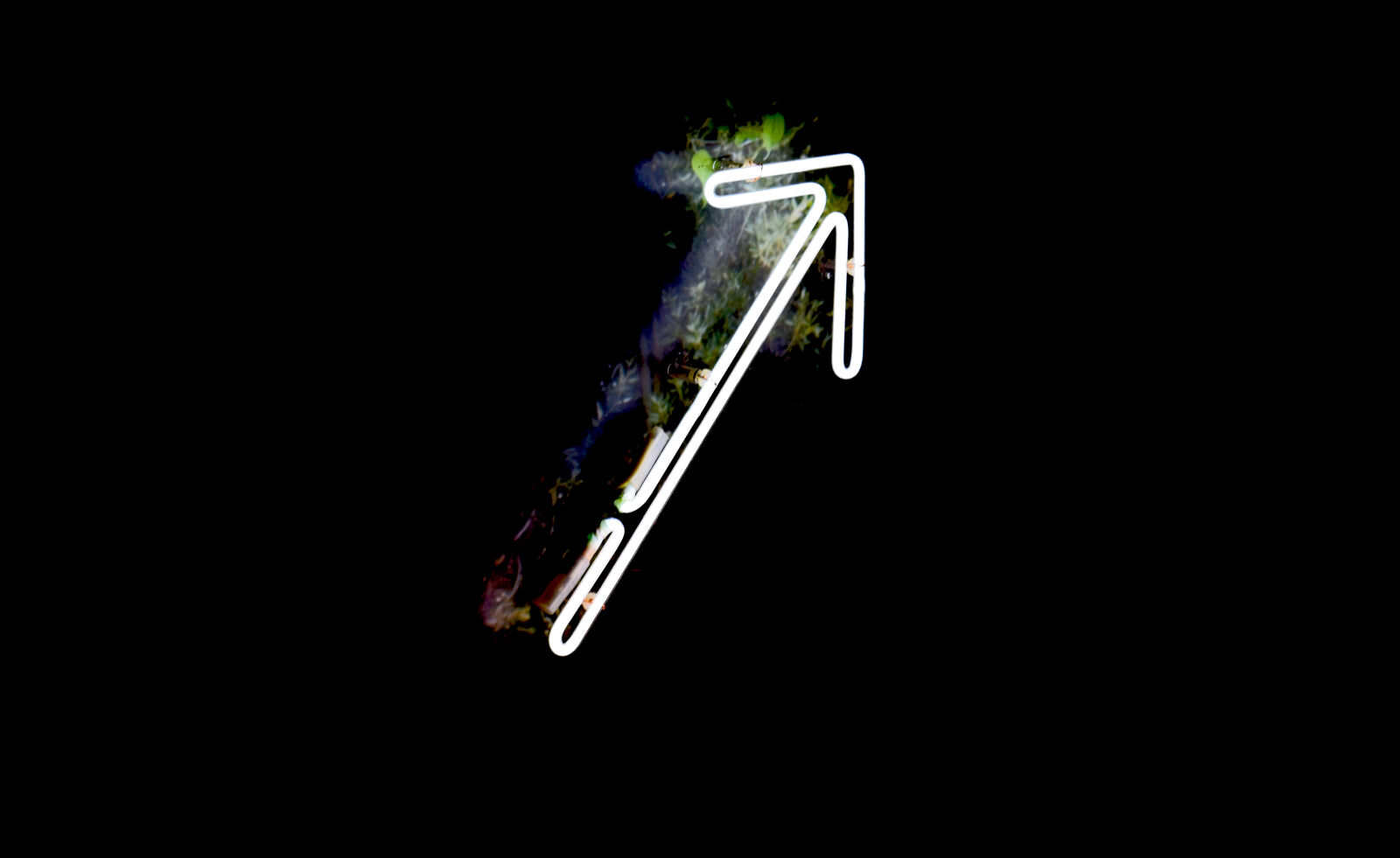 Nikon D3300 sample photo. Arrow, neon, warsaw photography