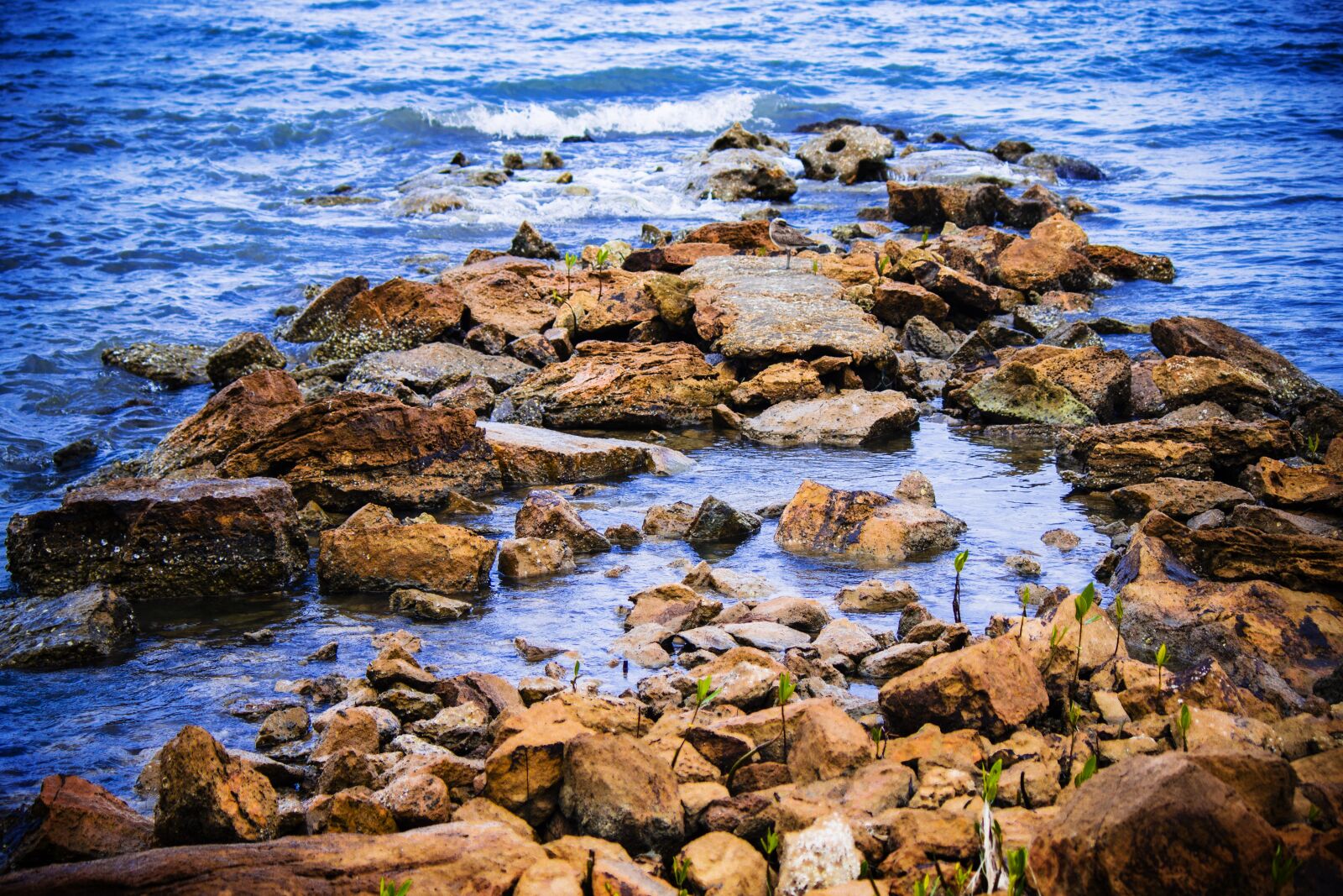 Canon EOS 600D (Rebel EOS T3i / EOS Kiss X5) sample photo. Sea, rocks, cliff photography