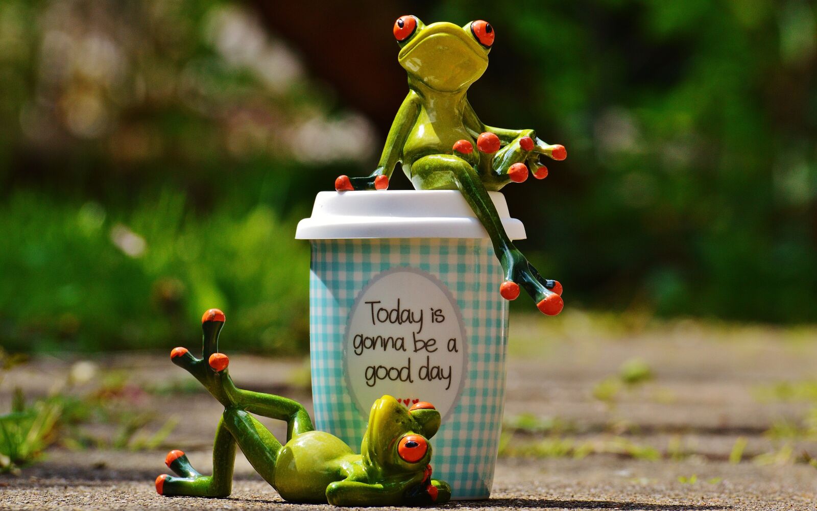 Nikon D3200 sample photo. Beautiful day, joy, frog photography
