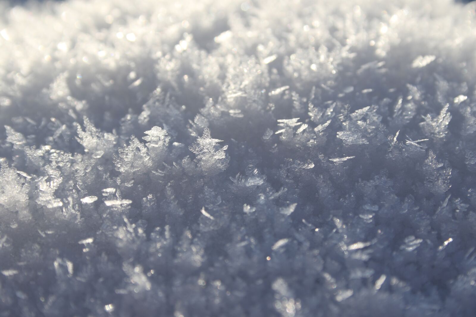 Canon EF-S 18-55mm F3.5-5.6 II sample photo. Frost, snow, winter photography
