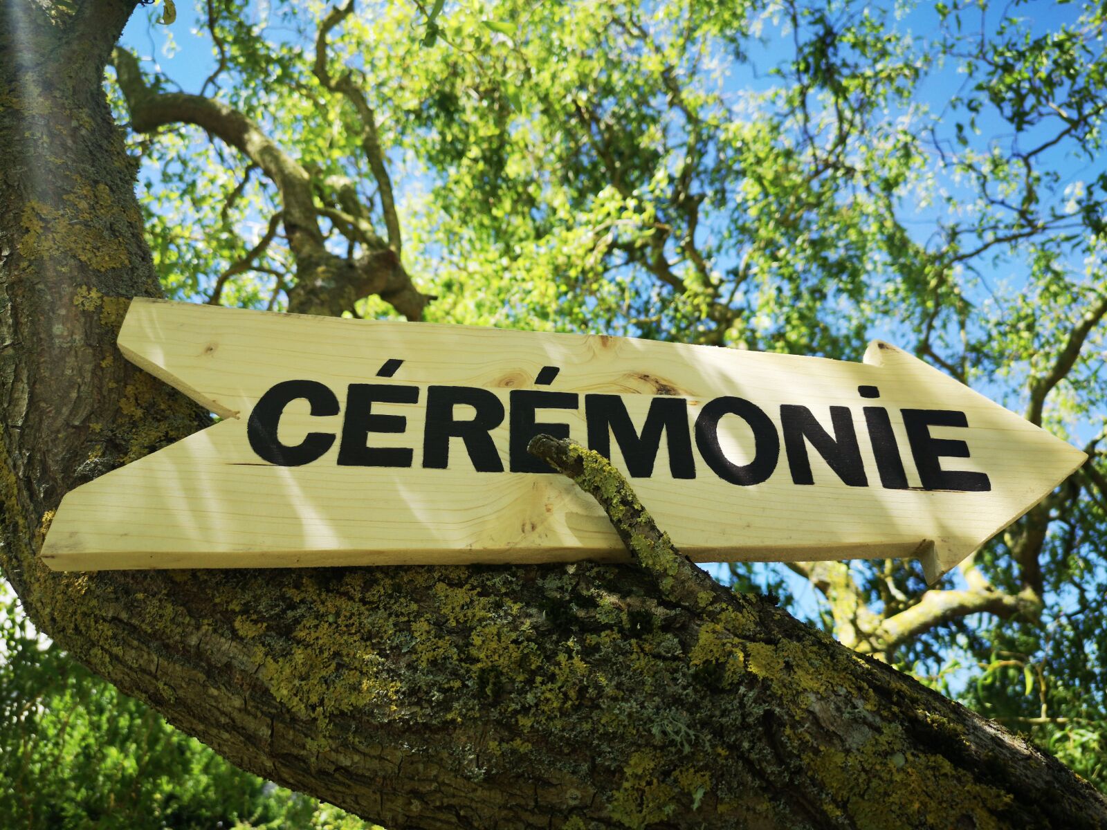 HUAWEI CLT-L29 sample photo. Ceremony, signage, wedding photography