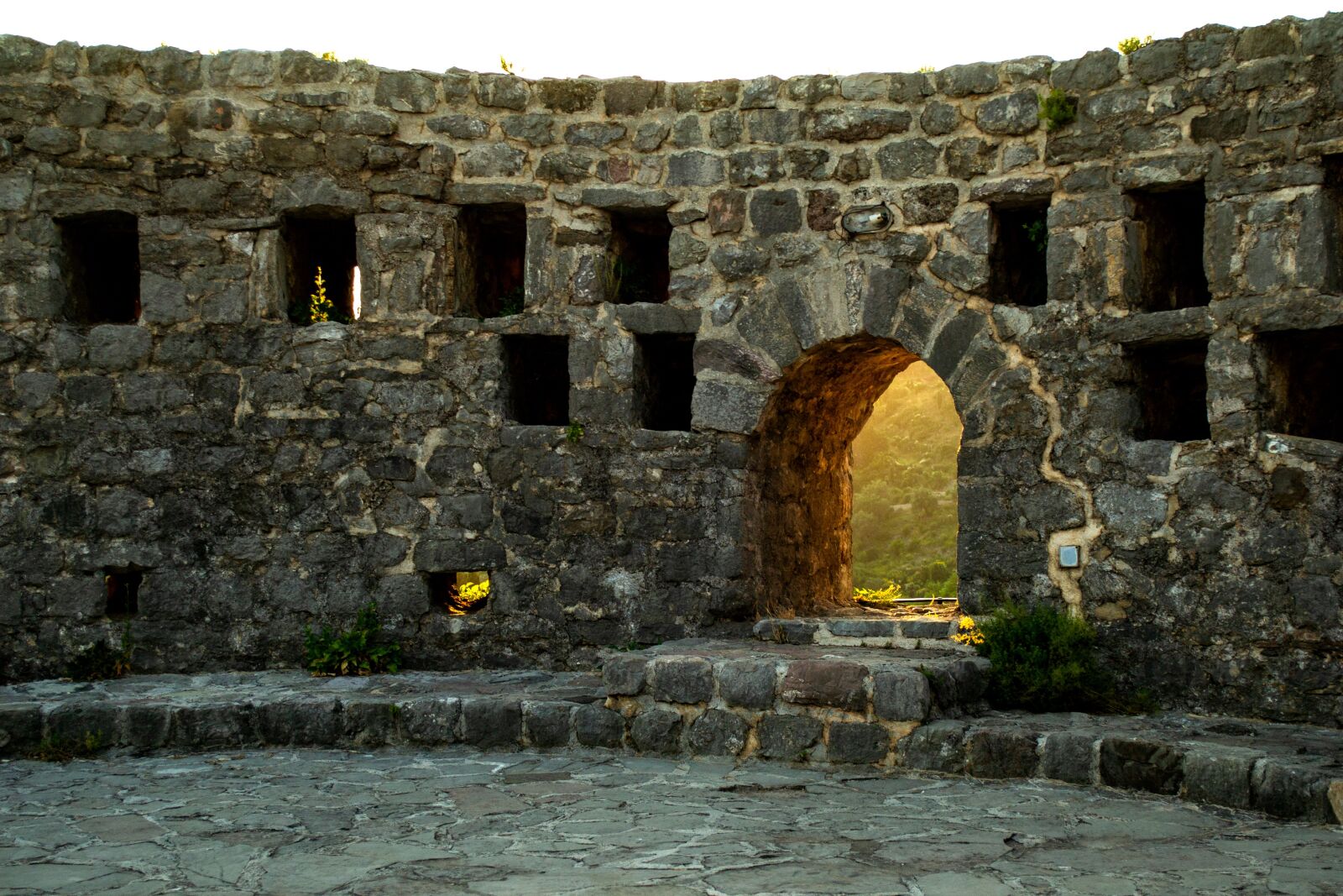 Nikon D3100 sample photo. Montenegro, bar, nature photography