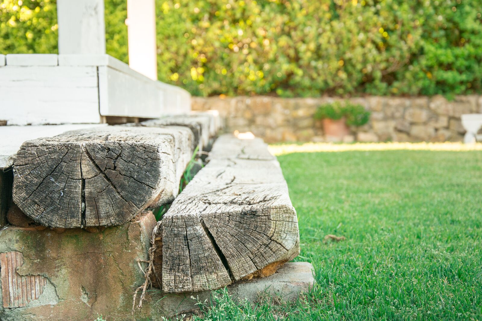 Nikon D7100 sample photo. Garden, houses, green photography