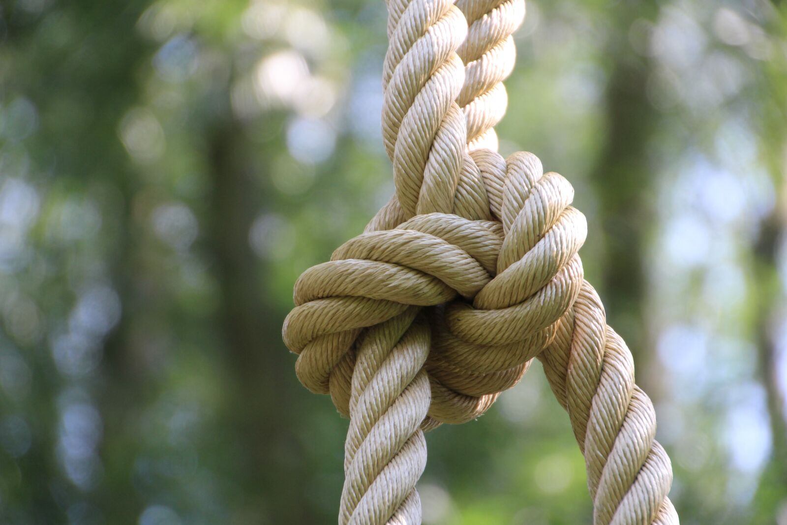 Canon EOS 100D (EOS Rebel SL1 / EOS Kiss X7) sample photo. Rope, knot, climbing photography