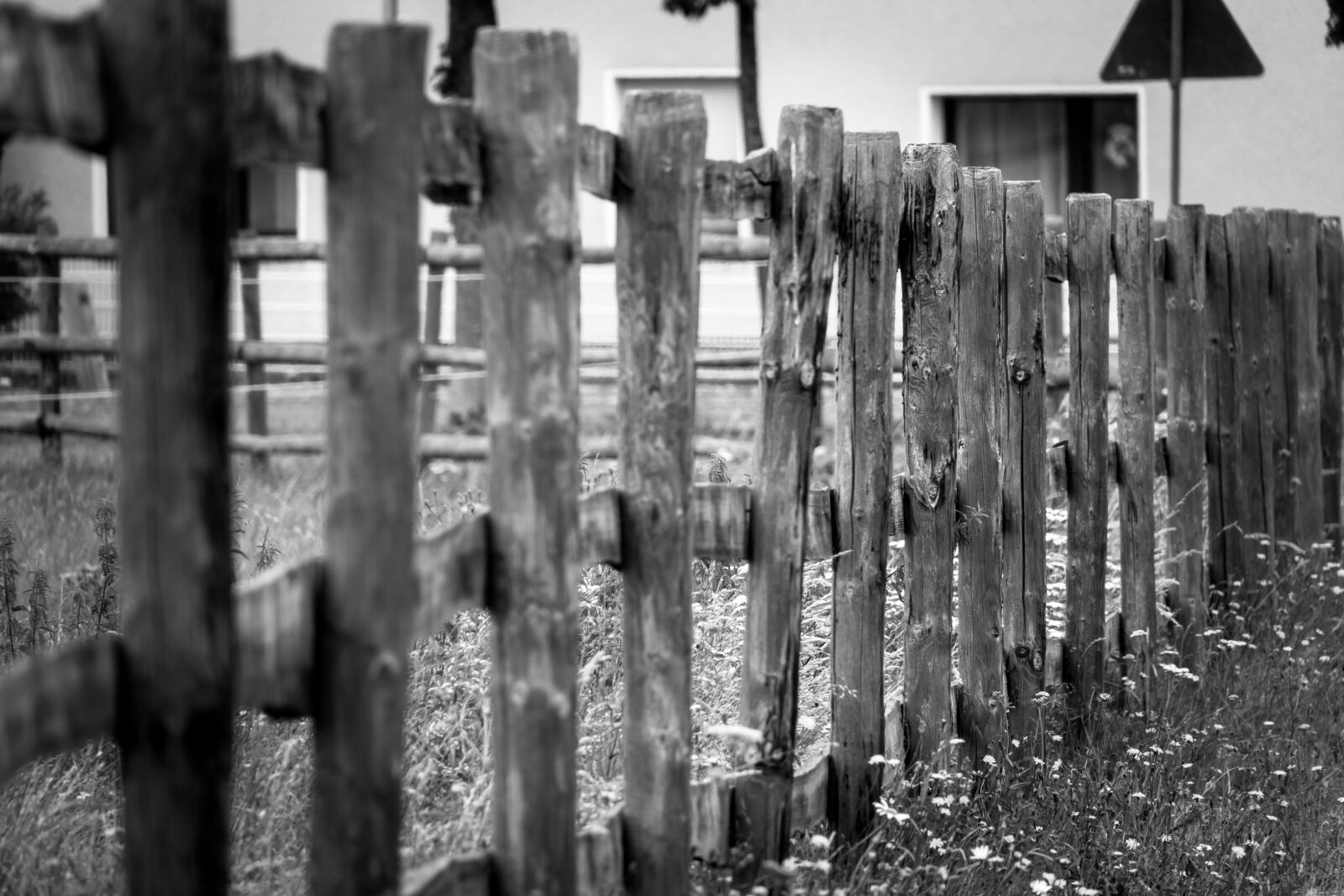 Canon PowerShot G3 X sample photo. Fence, pasture fence, wood photography