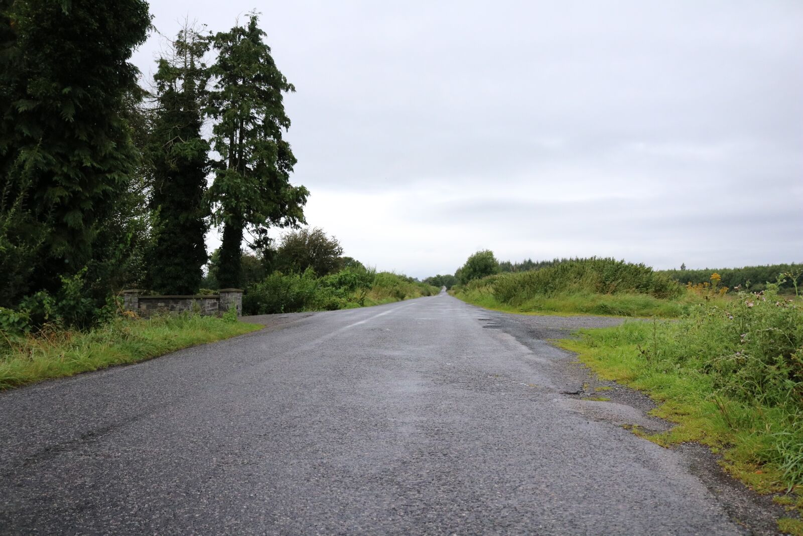 Canon EOS 750D (EOS Rebel T6i / EOS Kiss X8i) sample photo. Ireland, nature, wilderness photography