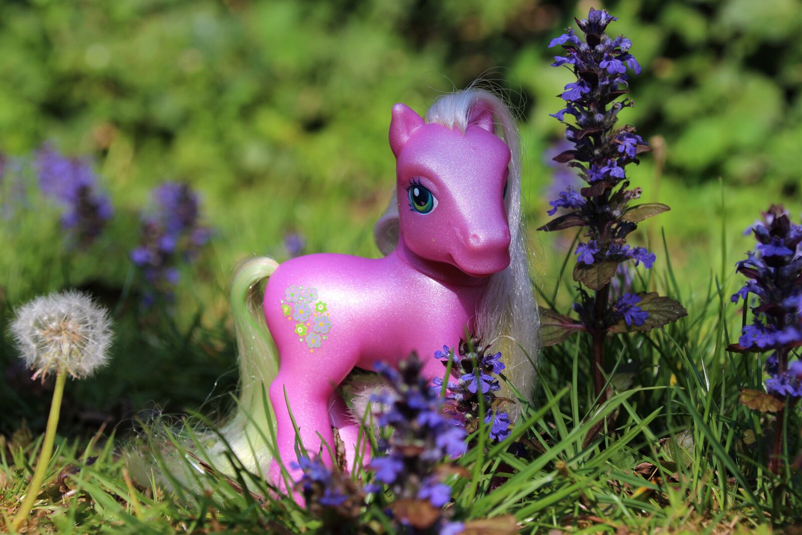 Canon EOS 700D (EOS Rebel T5i / EOS Kiss X7i) sample photo. My little pony, toys photography